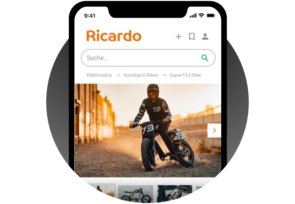 User Interface Design of Ricardo